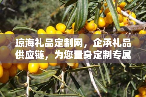 琼海礼品定制网，企承礼品供应链，为您量身定制专属礼品